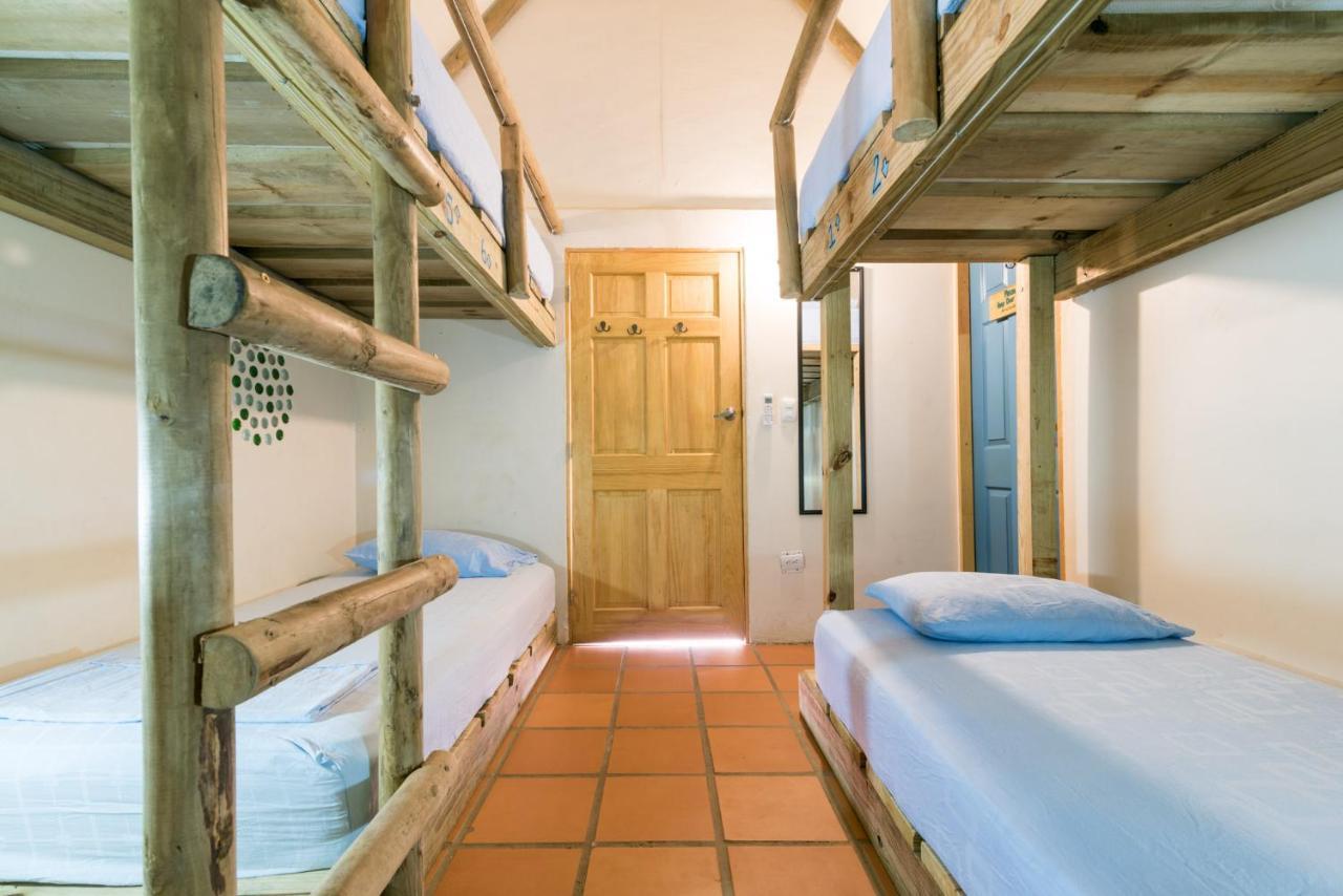 Bed 6-Bed Mixed Dormitory Room,1076560096:JPEG
